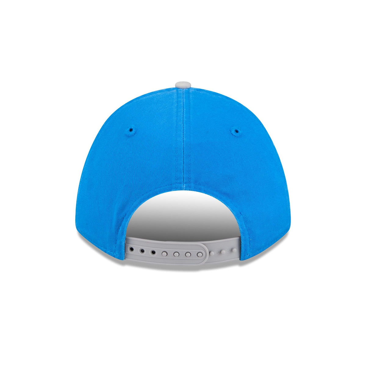 Detroit Lions Team Loyal 9FORTY M-Crown Snapback Hat