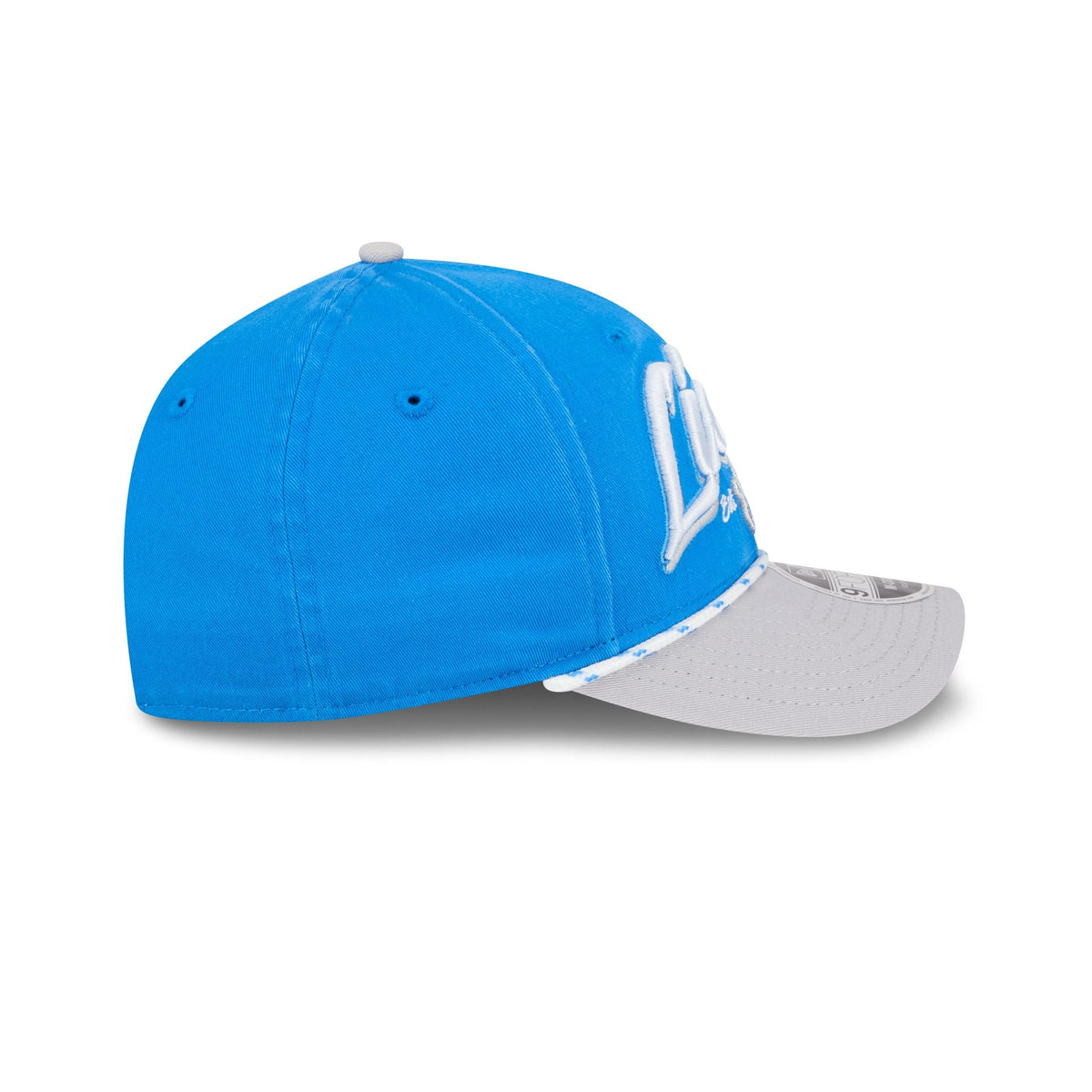 Detroit Lions Team Loyal 9FORTY M-Crown Snapback Hat
